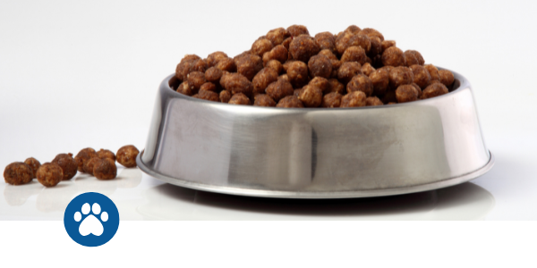 Petfood-1 Petfood-1